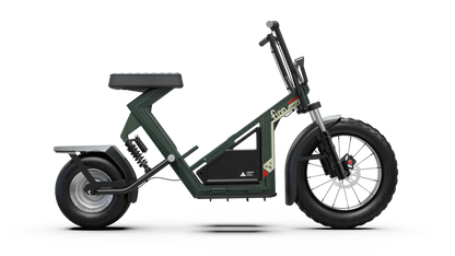 Finn Scooter Golf Bike!