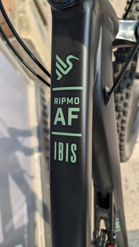 Ibis Ripmo AF custom build