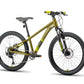 Batch The Youth 24" Mountain Bike